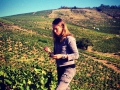 Sklizeň hroznů v Beaujolais ročníku 2015 Sklizeň hroznů v Beaujolais ročníku 2015