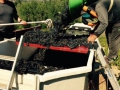 Sklizeň hroznů v Beaujolais ročníku 2015 Sklizeň hroznů v Beaujolais ročníku 2015