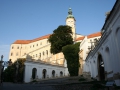 Mikulov