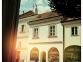 Sojka