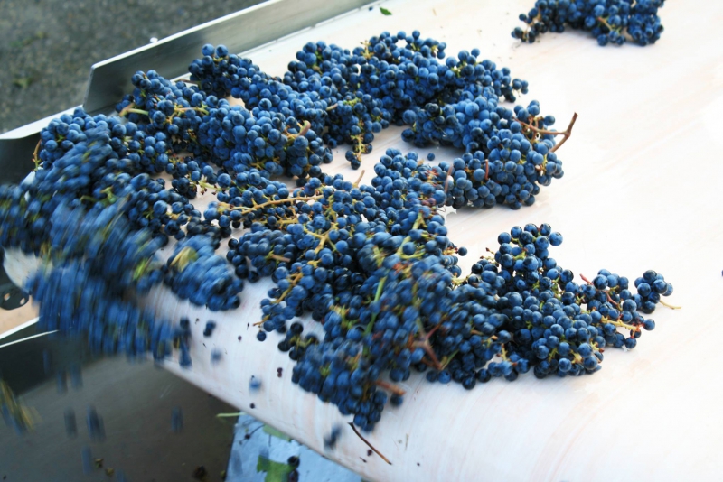 gassac2