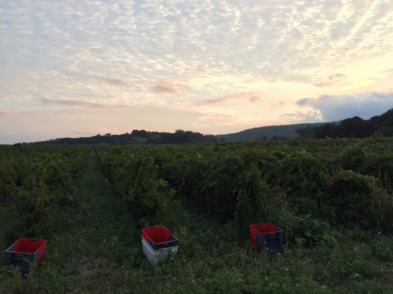 gassac3