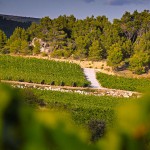 Clos d´Ora