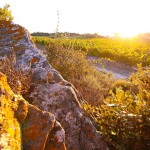 Clos d´Ora