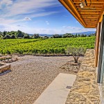 Clos d´Ora vinice